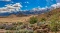 Tranquil 2.5-Acre Retreat in Breathtaking Inyo County, California!