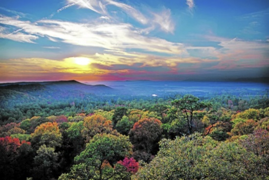 Discover the Charms of Ozark Acres in Sharp County, Arkansas!