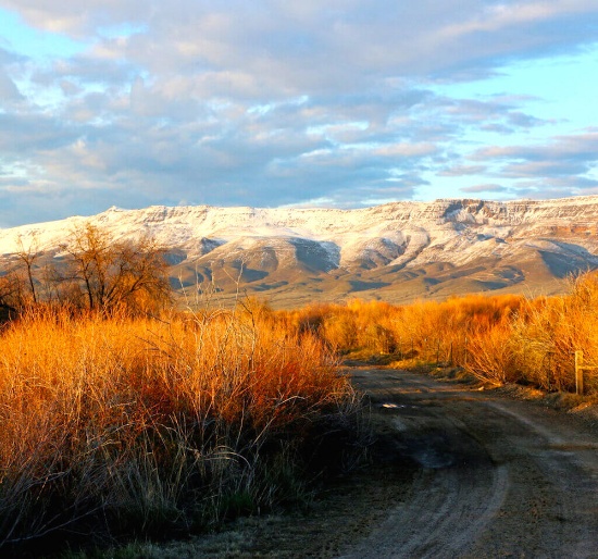 10 Acres of Picturesque Mountains in Stunning Nevada!