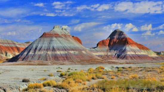 Discover Navajo County, AZ!