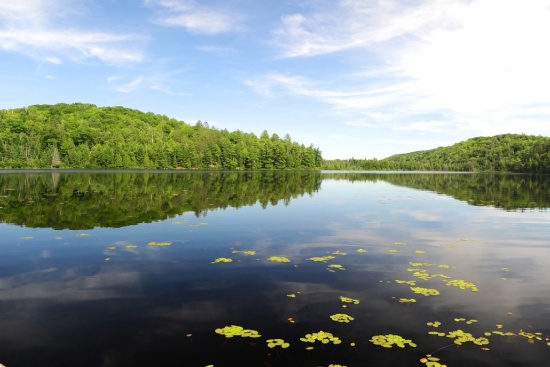 Discover the Beauty of Chippewa County, Michigan: Where Nature and Culture Unite!