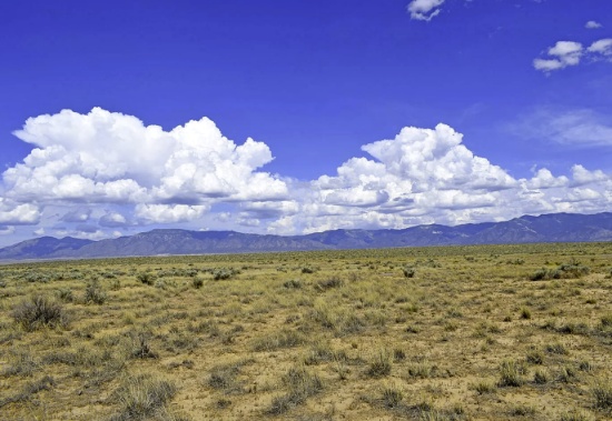 Expand Your Real Estate Portfolio: 10 Parcels in New Mexico! BIDDING IS PER LOT!