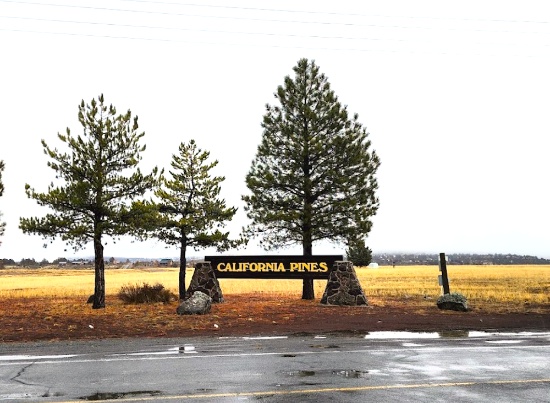 Build Your Home in the California Pines: A Peaceful Haven for Those Who Love the Outdoors!