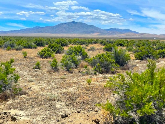 20-Acre Retreat in Elko County, Nevada!