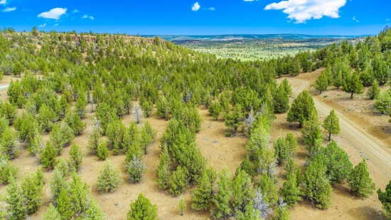 Nearly an Acre of Serenity in the California Pines Community in Modoc County, California!