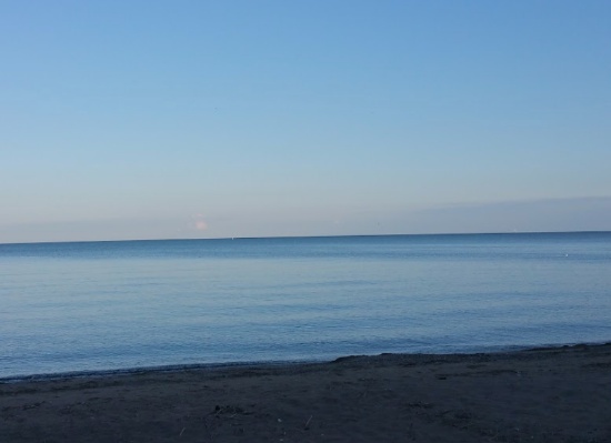 Michigan's Lakeshore Investment Opportunity Near Lake Erie!