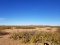 Half-Acre Scenic Lot in Luna County, New Mexico!