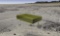 Uncover Luna County, New Mexico: Half-Acre Lot by the Mountains!