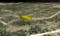 Build in California:  Large, Corner Lot Offering Solitude & Beauty!