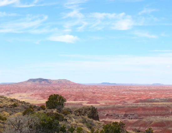 Stunning & Historic Arizona:  Own Over an Acre!