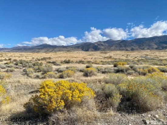 40 Acres of Serene High Desert in Elko County, Nevada!