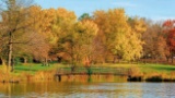 Charming & Welcoming Minnesota, by the River!
