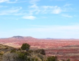 Stunning & Historic Arizona:  Own Over an Acre!