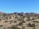 1.31 Acres in Vibrant Los Angeles County!