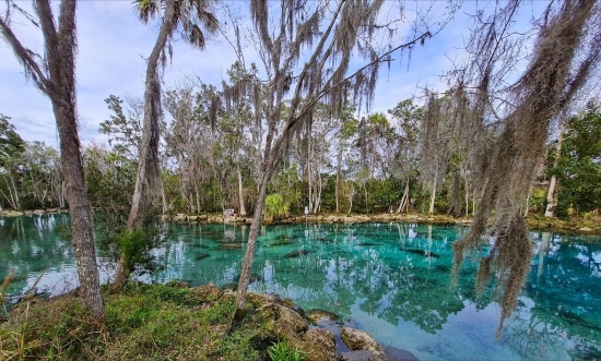 Citrus County: Embrace Florida's Hidden Gem! Adjacent to Lot 2!