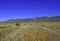 Invest in Growth in Valencia County, New Mexico!