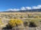 40 Scenic Acres in Elko County, Nevada!