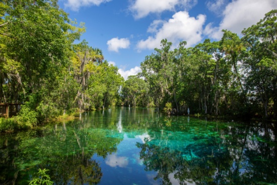 Explore Citrus County, Florida: Vacant Lot in Crystal River!  Adjacent to Lot 26