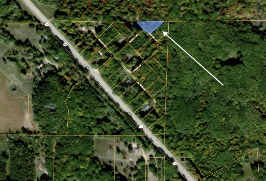 Wooded Michigan Lot Waiting to be Built On!