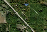 Wooded Michigan Lot Waiting to be Built On!