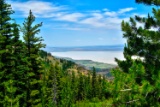 Modoc County, California: 10 Lot Package! BIDDING IS PER LOT!