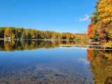 Van Buren, Michigan: Own Land Near the Majestic Saddle Lake!