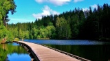 Own a Lot in the Pacific Northwest: Grays Harbor, Washington!