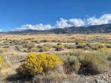 40 Scenic Acres in Elko County, Nevada!