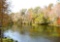 Invest in Polk County, Florida: Property Surrounded by Lakes!