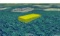 1.25 Acre Florida Investment Opportunity!