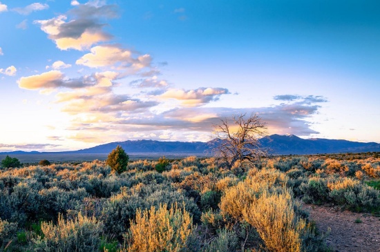 Valencia County: Half-Acre Lot Near the Mountains in New Mexico!