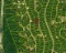Pair of Adjacent Lots in Cherokee Village, Arkansas!