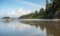 Beautiful Grays Harbor County, Washington: ADJACENT TO LOT 13!