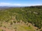Nearly an Acre:  California Corner Lot in Modoc County!