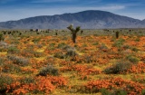 2.5 Acres in Los Angeles County, CA!