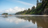 Beautiful Grays Harbor County, Washington: ADJACENT TO LOT 13!