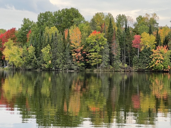 Exclusive Land Auction: Place Your Bid Now!