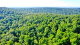 Build on TEN Adjacent Lots in Ozark Acres, Arkansas!