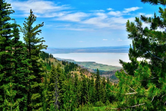 Exclusive Land Auction: Place Your Bid Now!