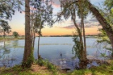 Polk County: Own a Slice of Beautiful Florida!