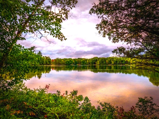 Lake County: Vacant Corner Lot in Michigan!