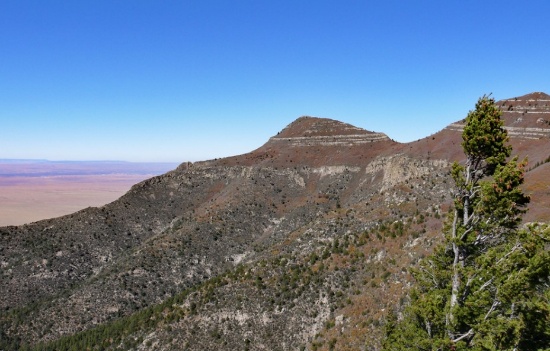 Invest in New Mexico's Valencia County!