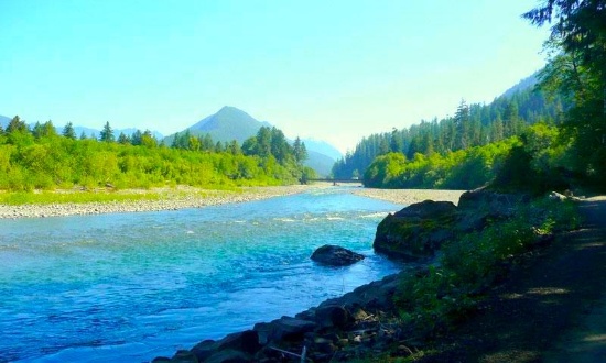 Discover Grays Harbor, Washington: Vacant Lot near the Mountains and River!
