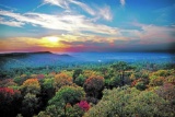 Ozark Acres, Arkansas:  Four Contiguous, Buildable Lots!