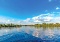 Discover Charlotte County, Florida: Vacant Lot by the Peace River!