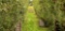 Explore Montcalm County, Michigan!