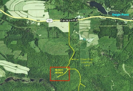Over 50 Acres in Scenic Aroostook County, Maine!