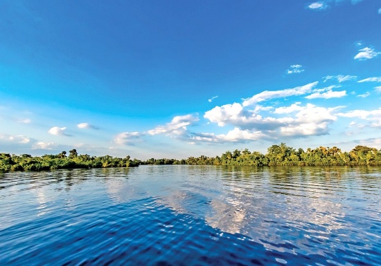 Discover Charlotte County, Florida: Vacant Lot by the Peace River!