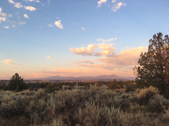 80 Acre Opportunity Near the California-Nevada Border!