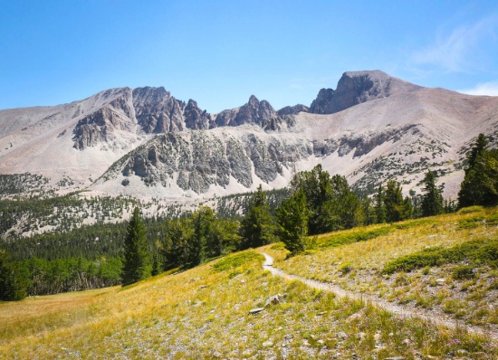 Nevada Land: Invest in 10 Acres!